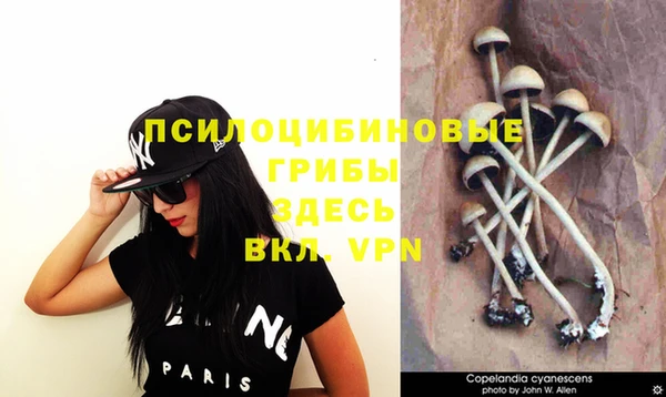 каннабис Аркадак