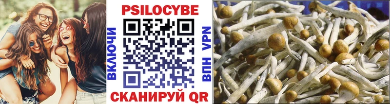 купить наркотики цена  Суворов  Галлюциногенные грибы Magic Shrooms 